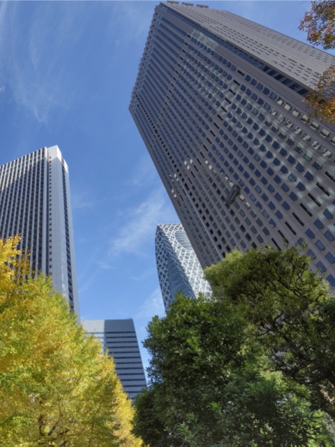 法人のお客様はこちら